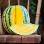 Watermelon Crimson Sweet  Non-gmo Heirloom  20 Seeds