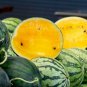 Watermelon Crimson Sweet  Non-gmo Heirloom  20 Seeds