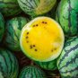 Watermelon Crimson Sweet Non-gmo Heirloom 20 Seeds