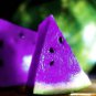 Watermelon  fruit vegetable Garden Home plantBlue Yellow Green Watermelon Purple 100 Seeds