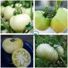 White Tomato 200 Seeds