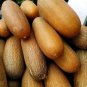 Old Cucumber Vegetable Organic 10grams Seeds