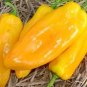 Rare Heirloom Giant Marconi Sweet Peppers Vegetables 200 Seeds