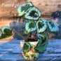 Begonia Bonsai Flower Plant for Plant Home Garden 200 Seeds