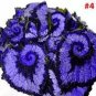 Begonia Bonsai Flower Plant for Plant Home Garden 200 Seeds