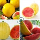 Watermelon  Yellow Skin Red Inside 200 Seeds