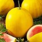Watermelon Yellow Skin Red Inside 200 Seeds