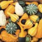 Heirloom 'Jindi' Small Ornamental Gourd 16 Seeds