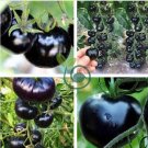 Heirloom Rare Small Black Green Tomato 200 Seeds