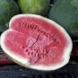 Continuous Cropping Long Red Big Watermelon 60 Seeds