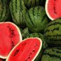 Continuous Cropping Long Red Big Watermelon 60 Seeds
