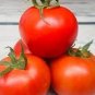 New 'Rose Red' Long Cherry Tomato Hybrid 200 Seeds