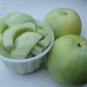 Color Muskmelon Fragrant Crisp Melon Organic 40 Seeds