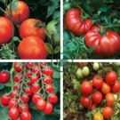Mixed 24 Types Organic Tomato 200 Seeds