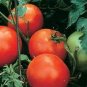 Mixed 24 Types Organic Tomato 200 Seeds