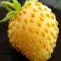 Giant Strawberry Yellow Color 600 Seeds
