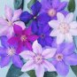 Clematis Bonsai Clematis Montana Mayleen Garden Pink Vine Flowers 200 Seeds