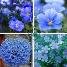 Balcony Hanging Blue Flax Flower 100 Seeds