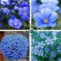 Balcony Hanging Blue Flax Flower 100 Seeds