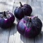 Eggplant Violet Colors with White Streaks Vegetable 200 Seeds