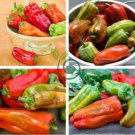 Heirloom 'Cubanelle' Pepper Green Red Orange Sweet Pepper 100 Seeds