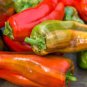 Heirloom 'Cubanelle' Pepper Green Red Orange Sweet Pepper 100 Seeds