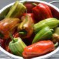 Heirloom 'Cubanelle' Pepper Green Red Orange Sweet Pepper 100 Seeds