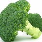 Green Organic Broccoli Heirloom Vegetables 120 Seeds