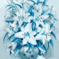 Blue Rare Lily Bulbs Seeding 100 Seeds