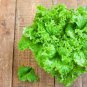 6 Types Of Lettuce Purple Red Green Vegetables 2 Seeds