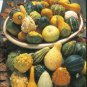 Mixed Gourds Ornamental Pumpkin 100 Seeds