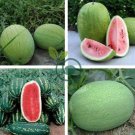 Light Green Streak Ellipse Big Red Watermelon 12 Seeds
