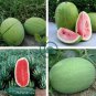 Light Green Streak Ellipse Big Red Watermelon 12 Seeds