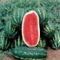 Light Green Streak Ellipse Big Red Watermelon 12 Seeds