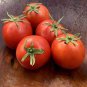 Red Colorful' Indeterminate Tomato Organic 600 Seeds
