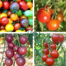 'Colorful Cherry' Indeterminate Tomato Organic 600 Seeds