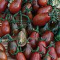 Chocolate Ruffled Tomato 200 Seeds