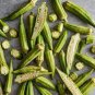 Okra Dark Green Shot Gumbo Vegetables 600 Seeds