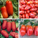 Tomato 'San-Marzano' Vegetable 2000 Seeds