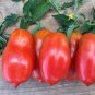 Tomato 'San-Marzano' Vegetable 2000 Seeds