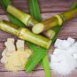Rare Heirloom Very Sweet Green Sugarcane Organic 2 Seeds