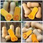 Heirloom Light Yellow Long Sweet Cream Pumpkin Vegetable Organic  12 Seeds