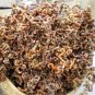 Rare Japanese Raisin Tree   200 Seeds