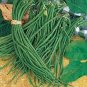 Chinese Green Long Cowpea Vegetable 40 Seeds