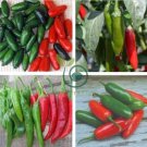Rare Serrano Chili Pepper Heirloom 200 Seeds