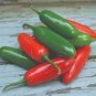 Rare Serrano Chili Pepper Heirloom 200 Seeds
