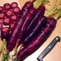 Purple Dragon Carrot Absolutely Unique Bird's Nest Carota 1000 Seeds
