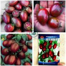 'Purple Rose' Cherry Tomato Organic  600 Seeds