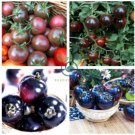 Giant Tomato Black Red Organic Fruit   600 Seeds