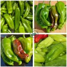 Pepperoncini Pepper (Hard to Find)  60 Seeds